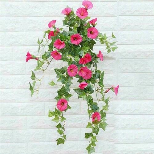 Artificial morning glory - morning,