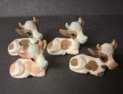 Szeiler minature cows - minature,