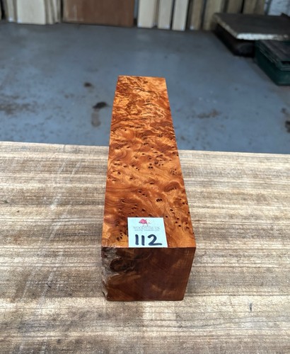 Thuya burr 3 x - 3,