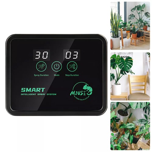 Electronic reptile rainforest - reptile,