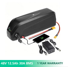 48V Hailong Lithium Ebike