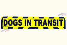 Magnetic DOGS IN TRANSIT
