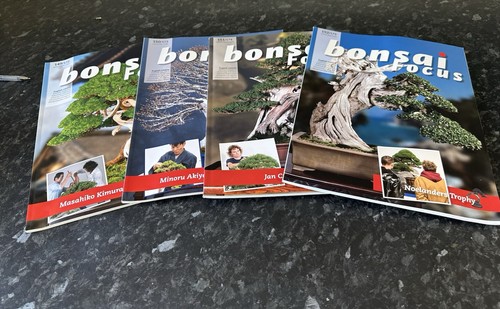 Copies bonsai focus - copies,