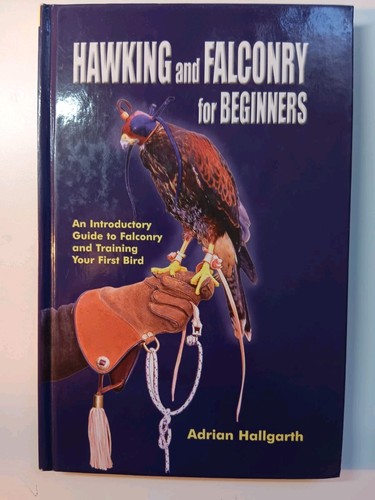 Hawking and falconry for - hawking,