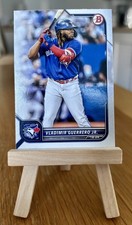 Vladimir guerrero 2022 - vladimir,