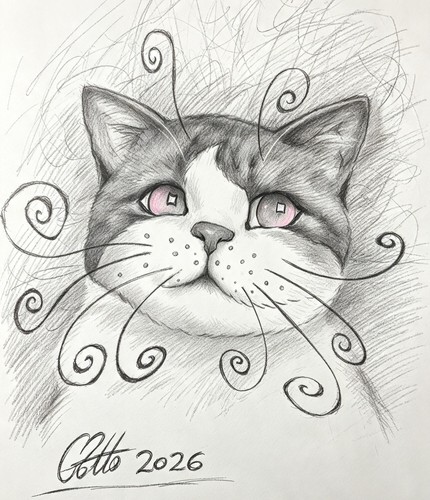 Cartoon drawing cat print - cartoon,