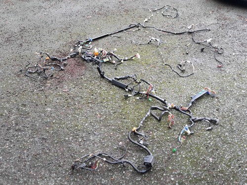 Honda civic wiring loom - civic,