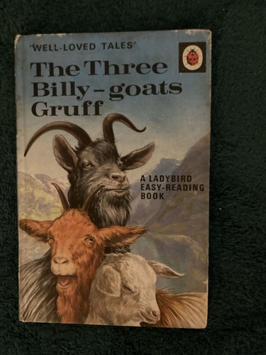 Vintage old ladybird book - old,