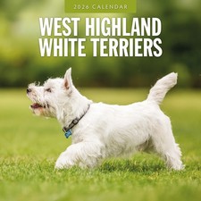 West Highland White Terriers
