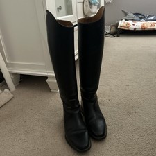 Petrie Dressage Show Riding