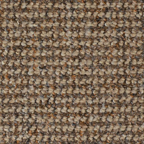 Carpet berber loop pile - loop, cheap