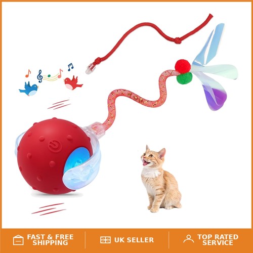 Vibrant red cat ball - cat, toy