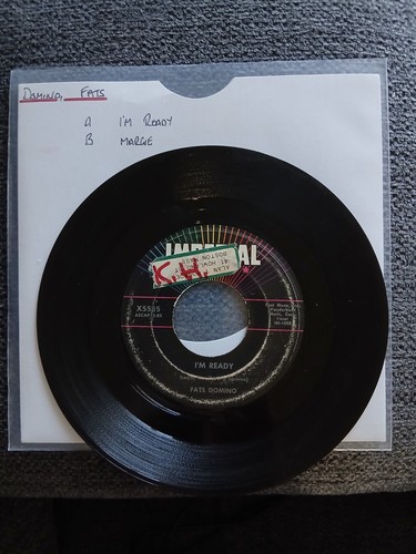Fats domino ready - domino, /