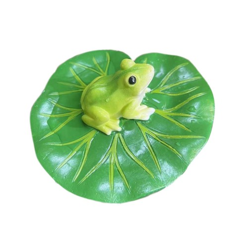Floating water lily leaf with - water,