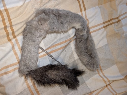 Victorian silver squirrel - silver,