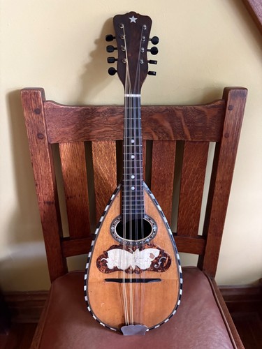 Antique bowl back mandolin