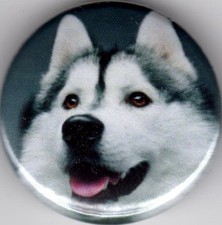 HUSKY Pin Button Badge 25mm -