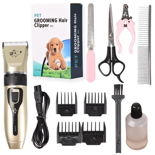 Professional pet dog - pet, grooming