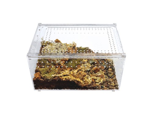 Herpcult acrylic reptile - acrylic,