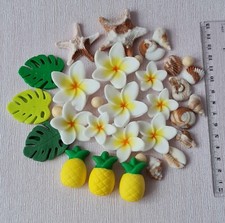Plumeria Monstera Pineapple