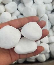 Pebbles Premium Decorative