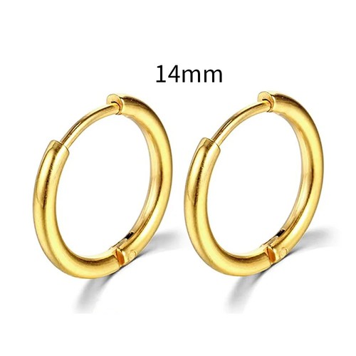 Pair hoop earrings - hoop,
