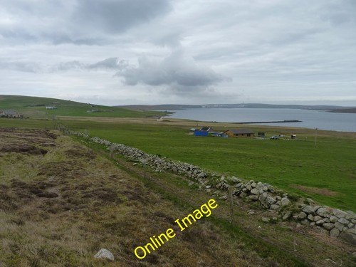 Photo 6x4 smallholdings near - photo,