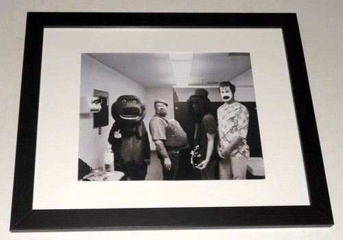 Framed nirvana concert - framed,