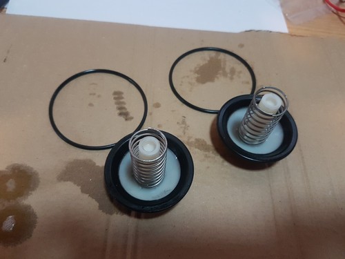 Lay spa pumps mushroom - pumps, seals