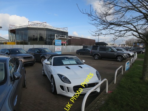 Photo 12x8 jaguar - photo,
