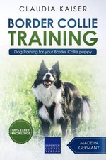 Border Collie Training Dog