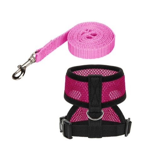 Chicken harness and leash - chicken,