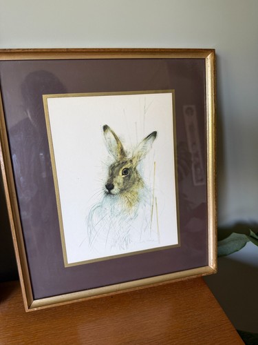 Hare illustration print - , by
