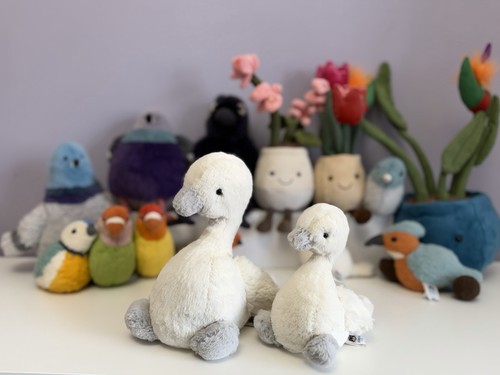 Jellycat very rare - jellycat,