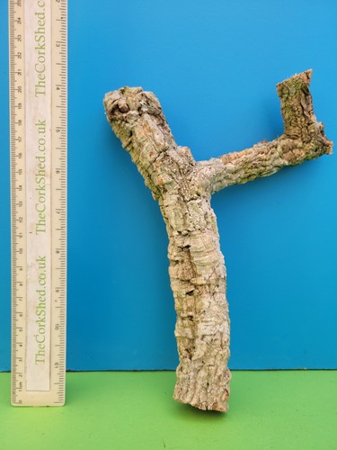 Cork bark branch 22cm - bark, snake