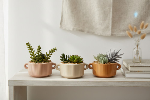 Faux succulent collection - faux,