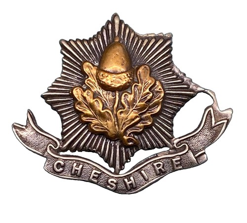 The cheshire regiment metal - cheshire, bi