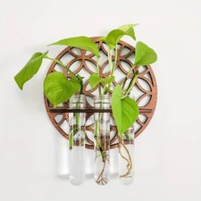 Propagation Station Plants