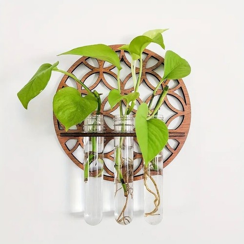 Propagation station plants - propagation,