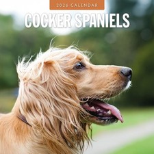 Cocker Spaniels 2026 Square