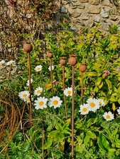 Metal Poppies set of 5