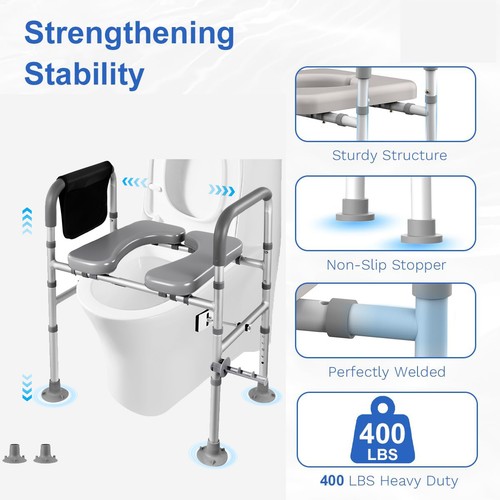 Raised toilet seat - toilet, frame