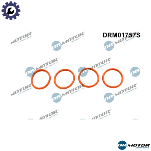 Gasket set intake manifold - gasket,