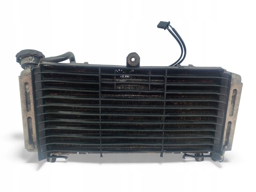 600 hornet pc34 radiator - pc34,