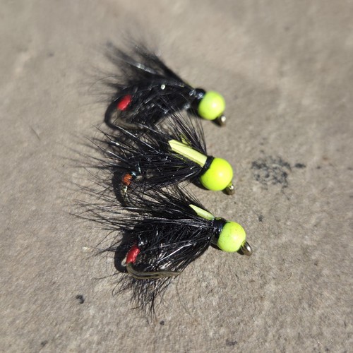 Black snatcher fly fishing - fly, wet