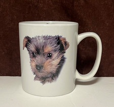 Yorkshire Terrier Puppy