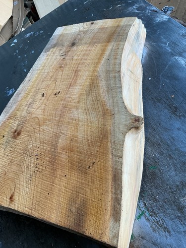 Cedar lebanon - cedar, lebanon,cedar