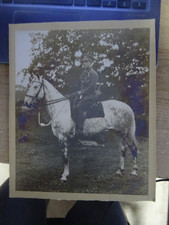 WW1 LARGE PHOTO OF MOUNTED SOLDIER, ARMY VETINARY CORPS.24cm x 19cm approx