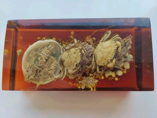 Vintage paperweight with - vintage,