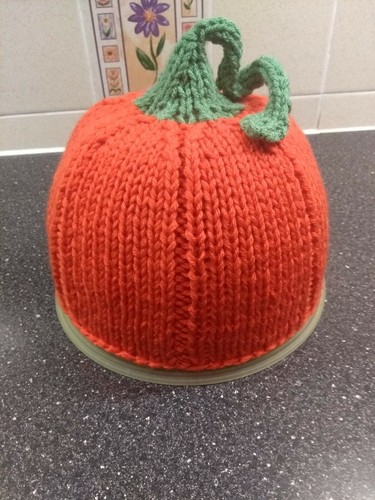 Hand knitted ladies pumpkin - knitted,